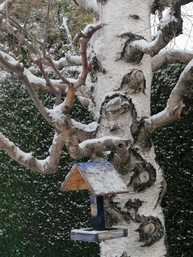Chambre D'Hotes Chevrefeuille Moltig les Bains Εξωτερικό φωτογραφία
