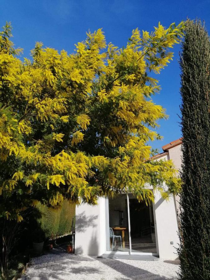 Chambre D'Hotes Chevrefeuille Moltig les Bains Εξωτερικό φωτογραφία